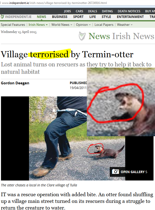 Terror